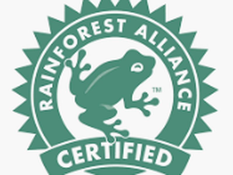 None rainforest alliance