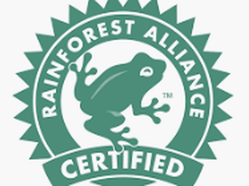 rainforest alliance