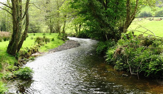Timelessness of the Gwaun valley