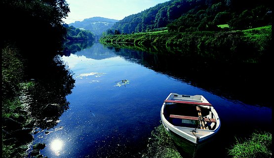 Get to Know WYE VALLEY