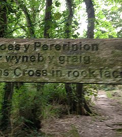 The mysteries of Nevern