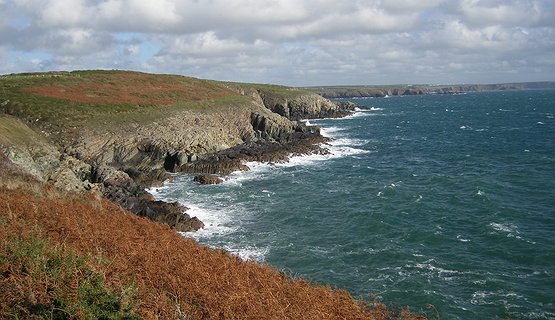 Pembrokeshire walking holidays - steps of St David
