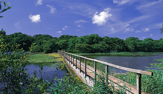 Spring Watch at Stackpole