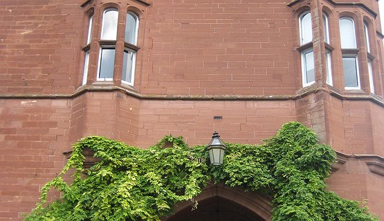 RUTHIN -ROYALTY AND ROGUES