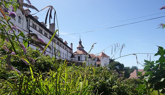 Discover Caldey Island