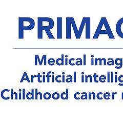 PRIMAGE Project